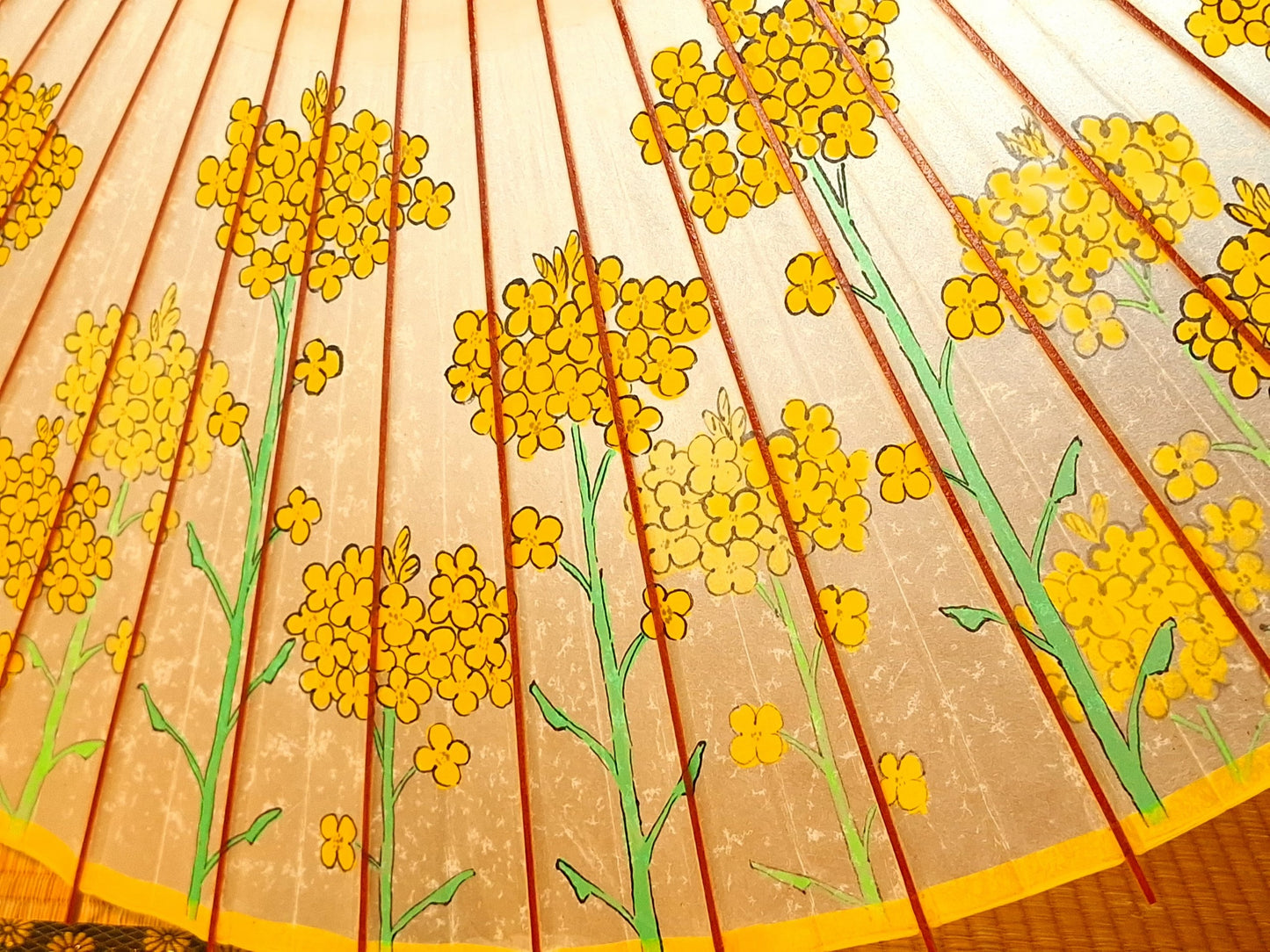 番傘　菜の花