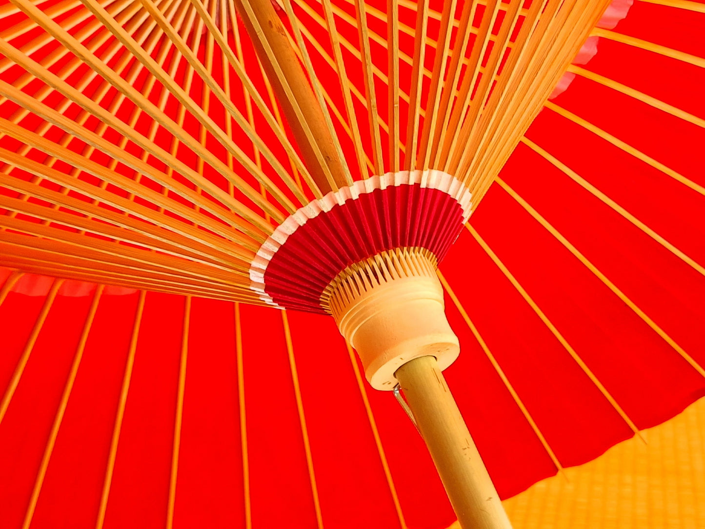 番傘　月奴（紅白）