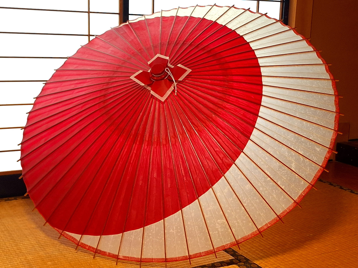 番傘　月奴（紅白）